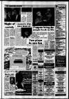 Horley & Gatwick Mirror Thursday 01 August 1991 Page 15