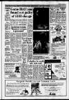 Horley & Gatwick Mirror Thursday 08 August 1991 Page 3