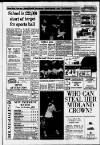 Horley & Gatwick Mirror Thursday 03 October 1991 Page 3