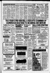 Horley & Gatwick Mirror Thursday 17 October 1991 Page 15