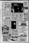 Horley & Gatwick Mirror Thursday 07 January 1993 Page 5