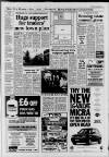 Horley & Gatwick Mirror Thursday 14 January 1993 Page 5