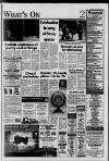 Horley & Gatwick Mirror Thursday 21 January 1993 Page 11