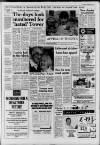 Horley & Gatwick Mirror Thursday 04 February 1993 Page 3