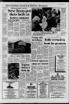 Horley & Gatwick Mirror Thursday 04 February 1993 Page 5