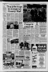 Horley & Gatwick Mirror Thursday 04 February 1993 Page 9