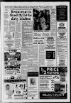 Horley & Gatwick Mirror Thursday 04 March 1993 Page 3