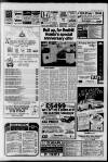 Horley & Gatwick Mirror Thursday 04 March 1993 Page 27