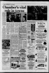 Horley & Gatwick Mirror Thursday 18 March 1993 Page 9