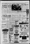 Horley & Gatwick Mirror Thursday 25 March 1993 Page 7