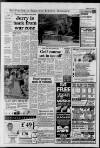Horley & Gatwick Mirror Thursday 06 May 1993 Page 3