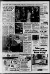 Horley & Gatwick Mirror Thursday 03 June 1993 Page 3