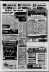 Horley & Gatwick Mirror Thursday 03 June 1993 Page 23