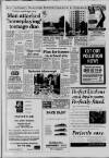 Horley & Gatwick Mirror Thursday 04 November 1993 Page 3