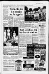 Horley & Gatwick Mirror Thursday 27 July 1995 Page 3