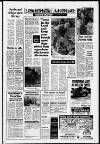 Leatherhead Advertiser Thursday 12 May 1988 Page 19