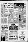 Leatherhead Advertiser Thursday 09 June 1988 Page 13