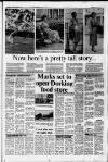Leatherhead Advertiser Thursday 07 July 1988 Page 19