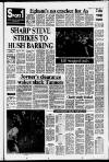 Leatherhead Advertiser Thursday 15 December 1988 Page 13