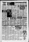 Leatherhead Advertiser Thursday 15 December 1988 Page 19