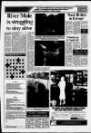 Leatherhead Advertiser Wednesday 21 February 1990 Page 17