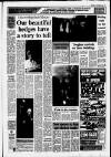 Leatherhead Advertiser Wednesday 05 December 1990 Page 17