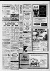 Leatherhead Advertiser Thursday 24 June 1993 Page 25