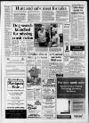 Leatherhead Advertiser Thursday 30 September 1993 Page 3