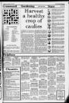 Staines Informer Thursday 16 January 1986 Page 71