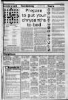 Staines Informer Thursday 20 February 1986 Page 79