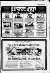 Faversham Times and Mercury and North-East Kent Journal Thursday 20 November 1986 Page 15