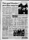 Faversham Times and Mercury and North-East Kent Journal Wednesday 23 October 1991 Page 49