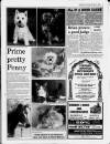 Faversham Times and Mercury and North-East Kent Journal Wednesday 25 March 1992 Page 7