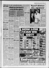 Faversham Times and Mercury and North-East Kent Journal Wednesday 24 February 1993 Page 19