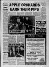 Faversham Times and Mercury and North-East Kent Journal Wednesday 01 December 1993 Page 13