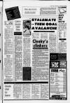 Galloway News and Kirkcudbrightshire Advertiser Thursday 16 January 1986 Page 31