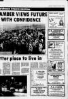 Galloway News and Kirkcudbrightshire Advertiser Thursday 23 January 1986 Page 19