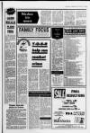 Galloway News and Kirkcudbrightshire Advertiser Thursday 05 February 1987 Page 13