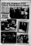 Galloway News and Kirkcudbrightshire Advertiser Thursday 07 January 1993 Page 23