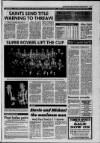 Galloway News and Kirkcudbrightshire Advertiser Thursday 14 January 1993 Page 39