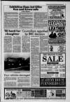 Galloway News and Kirkcudbrightshire Advertiser Thursday 21 January 1993 Page 3