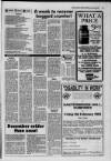 Galloway News and Kirkcudbrightshire Advertiser Thursday 21 January 1993 Page 21