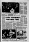 Galloway News and Kirkcudbrightshire Advertiser Thursday 11 February 1993 Page 13