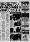 Galloway News and Kirkcudbrightshire Advertiser Thursday 11 February 1993 Page 37