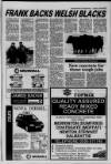 Galloway News and Kirkcudbrightshire Advertiser Thursday 11 February 1993 Page 39