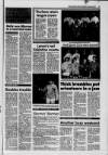 Galloway News and Kirkcudbrightshire Advertiser Thursday 18 February 1993 Page 39