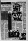 Galloway News and Kirkcudbrightshire Advertiser Thursday 11 March 1993 Page 37