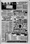 Galloway News and Kirkcudbrightshire Advertiser Thursday 18 March 1993 Page 29