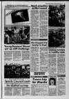 Galloway News and Kirkcudbrightshire Advertiser Thursday 18 March 1993 Page 45