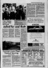 Galloway News and Kirkcudbrightshire Advertiser Thursday 24 June 1993 Page 11